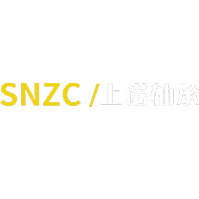 专注生产各类非标轴承的厂家