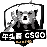 平头哥CSGO