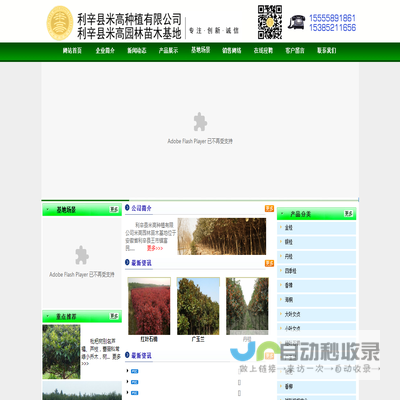 利辛县米高种植有限公司
