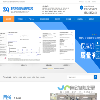 东莞市自强电线有限公司