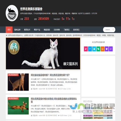 世界名宠俱乐部纯种猫舍