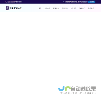 星素数字科技有限公司