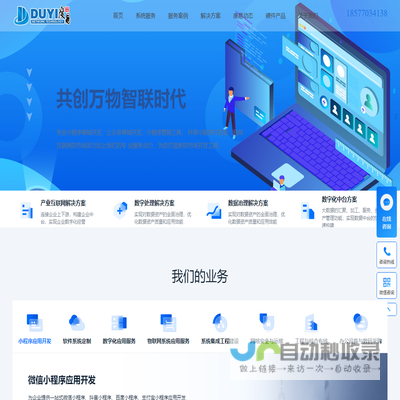 数字化应用系统开发公司