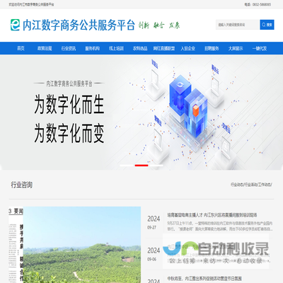 内江数字商务公共服务平台