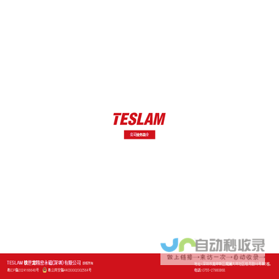 TESLAM