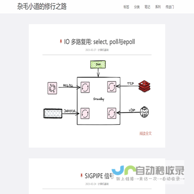 杂毛小道的修行之路