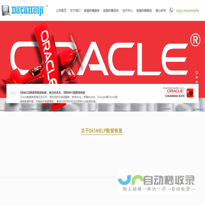 山东服务器数据恢复,SQL数据库数据恢复,oracle数据库数据恢复