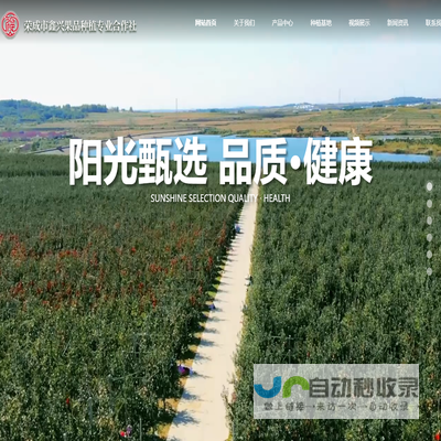 荣成市鑫兴果品种植专业合作社