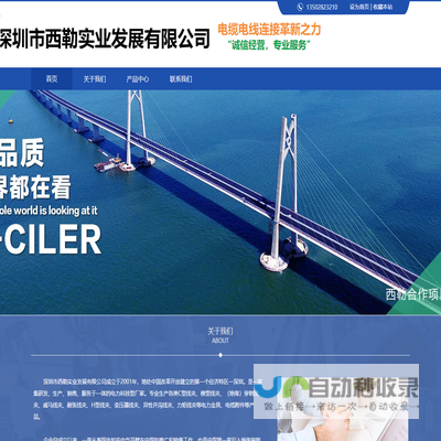 深圳市西勒实业发展有限公司
