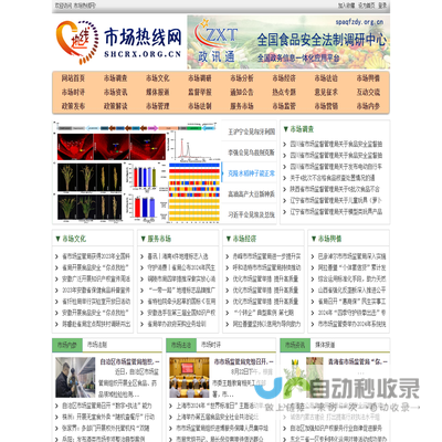 市场热线网