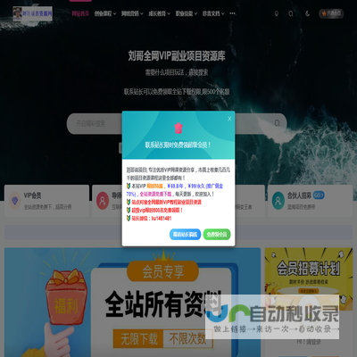 全网副业项目VIP教程分享