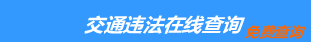 （手机版）安庆交通违章查询