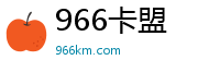 966卡盟