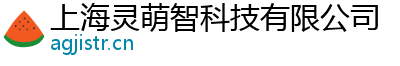 上海灵萌智科技有限公司