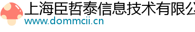 上海臣哲泰信息技术有限公司