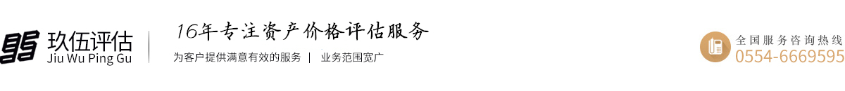 安徽省玖伍资产价格评估有限责任公司