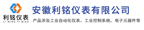 安徽利铭仪表有限公司