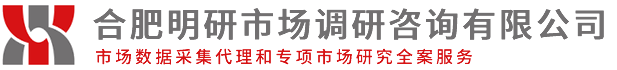 安徽市场调查公司