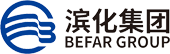 滨化集团股份有限公司