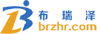 厦门布瑞泽人才信息服务有限公司