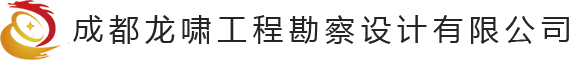 成都龙啸投资有限公司