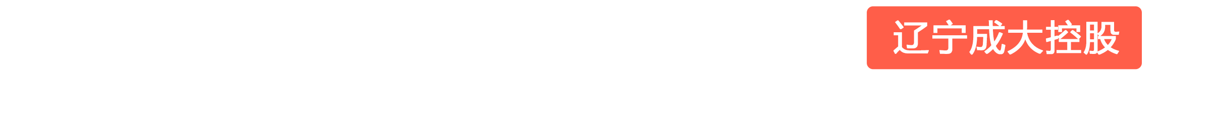 辽宁成大国际贸易有限公司