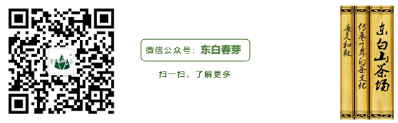 浙江省东阳市东白山浙江省东阳市东白山茶业有限责任公司