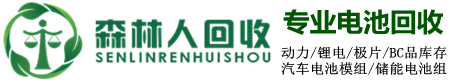 汽车电池回收，三元电池回收，磷酸铁锂电池回收，钴酸锂电池回收，电池正极负极回收，电池模组回收，锂电回收，三元电池回收公司，电池回收公司