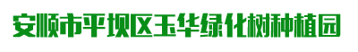 安顺市平坝区玉华绿化树种植园