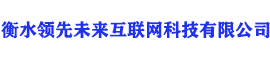 衡水领先未来互联网科技有限公司