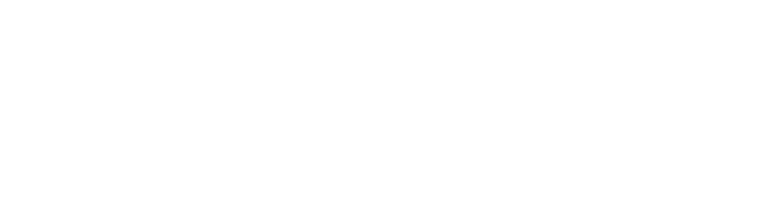 胖妮信息（PNNI）