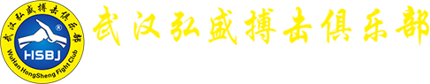 汉口散打培训,少儿散打培训,武术散打,武汉散打俱乐部