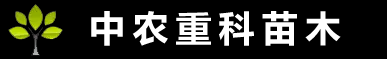 四川苗木批发,四川果苗批发,生态果园规划,标准化果园建设,苗木工程公司