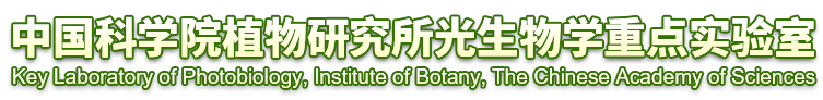 中国科学院植物研究所中国科学院光生物学重点实验室