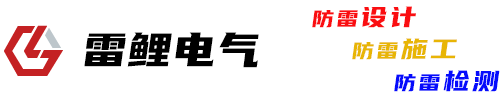 上海雷鲤电气有限公司