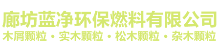 廊坊蓝净环保燃料有限公司