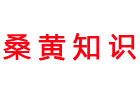 桑黄的功效与作用的功能与主治「详细」