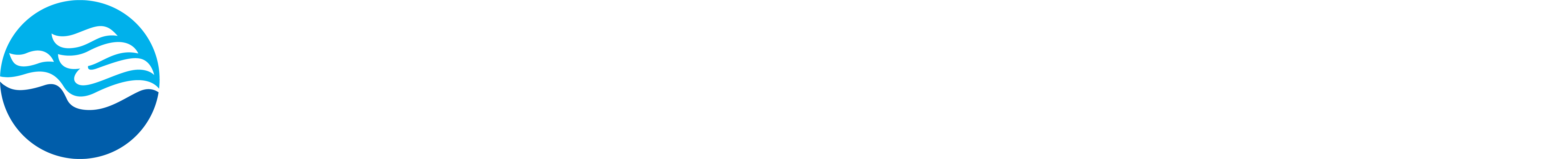 平陆运河集团有限公司