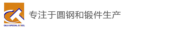 齐鲁特钢有限公司