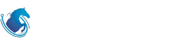 首页