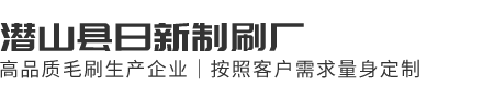 潜山县日新制刷厂