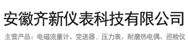 安徽齐新仪表科技有限公司