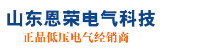 山0东恩荣电气科技有限公司