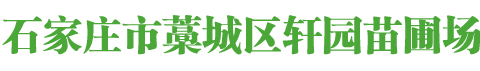 河北石家庄绿化苗木基地