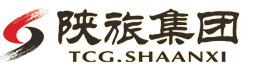 西安唐乐宫有限公司