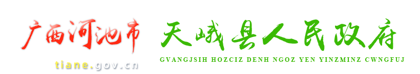 广西河池天峨县人民政府门户网站