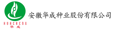 安徽华成种业股份有限公司｜种子公司｜华成种业安徽华成种业股份有限公司｜种子公司｜华成种业