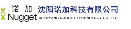 Nugget(shenyang)Technology