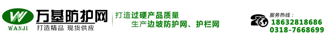 主动边坡防护网生产厂家