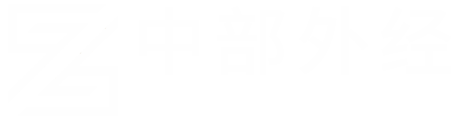 武汉中部对外经济技术合作集团有限公司